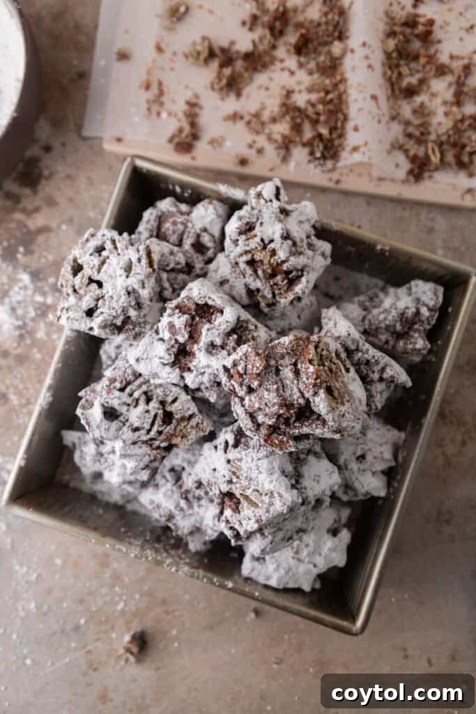 Overhead shot of Muddy Buddy Bars arranged on a serving platter, invitingly dusted with powdered sugar.