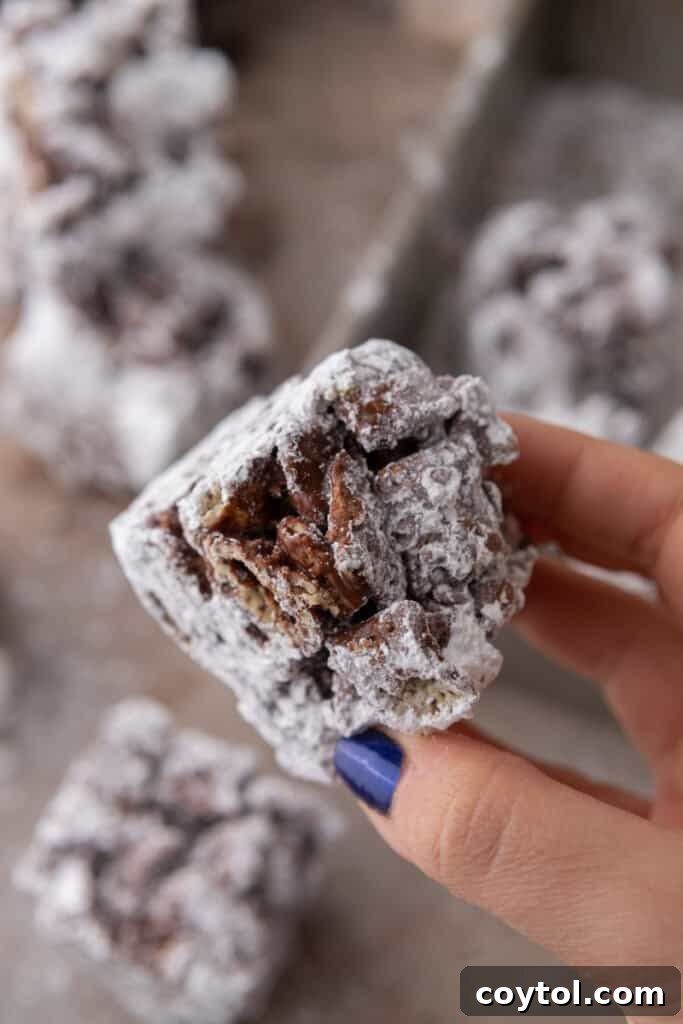 A hand holding a slice of Muddy Buddy Bar, showing its rich texture and powdered sugar coating.