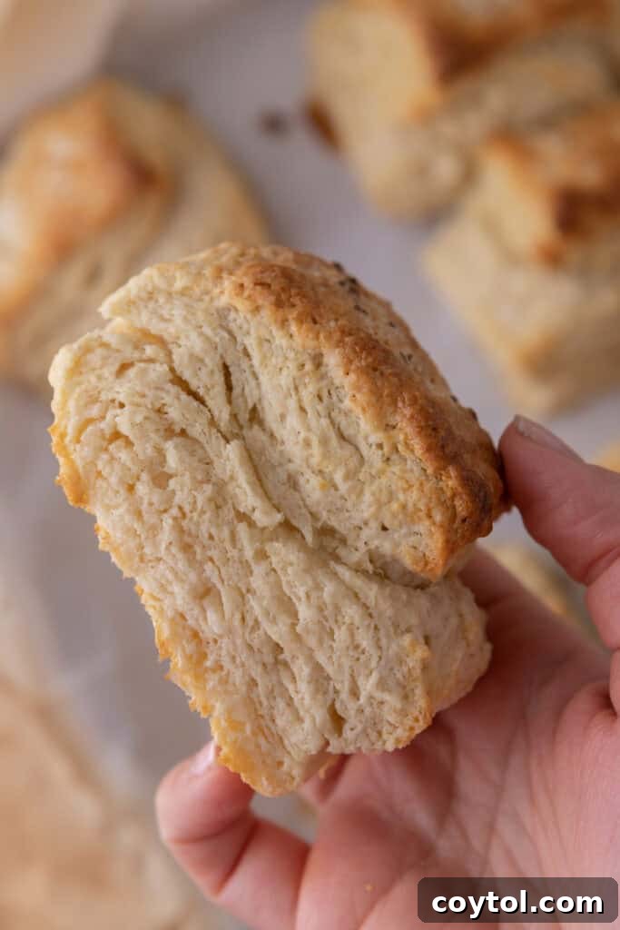 Sourdough Discard Biscuits recipe being held up