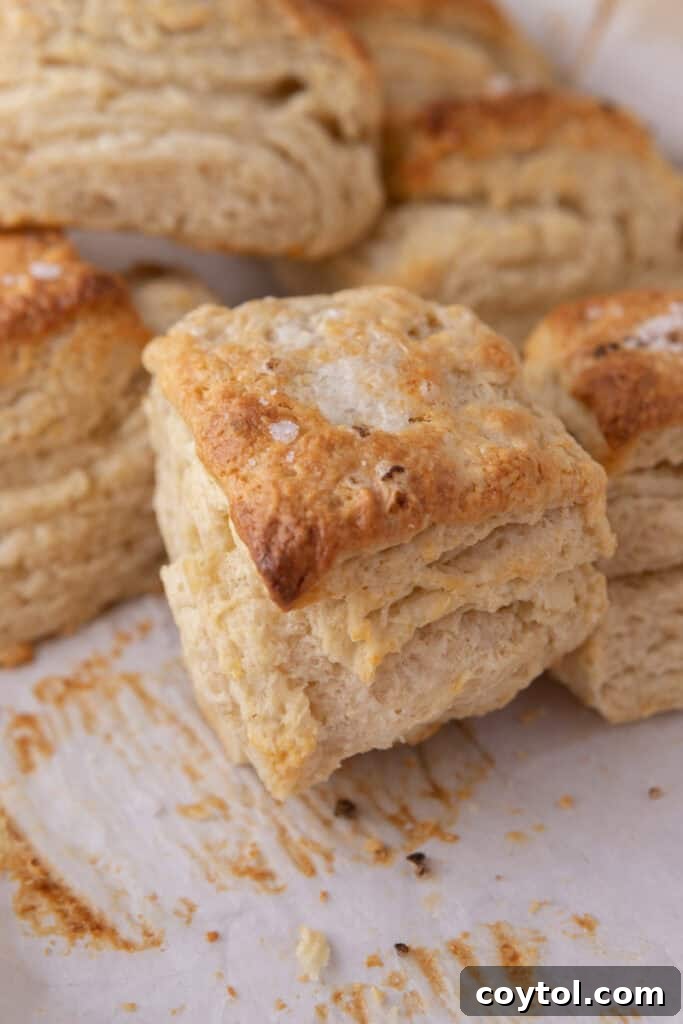Sourdough Discard Biscuits recipe close up 