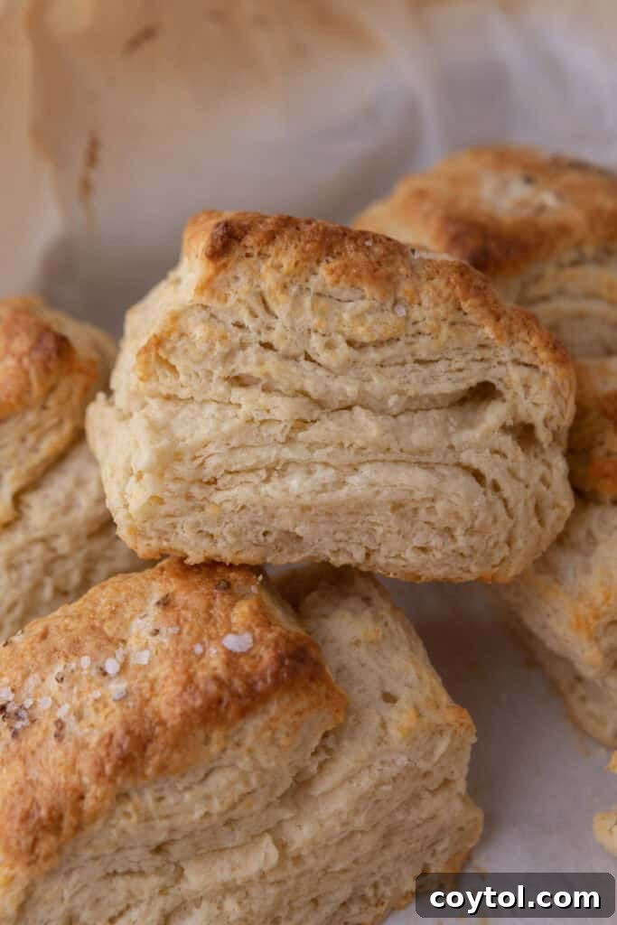 Sourdough Discard Biscuits recipe close up 