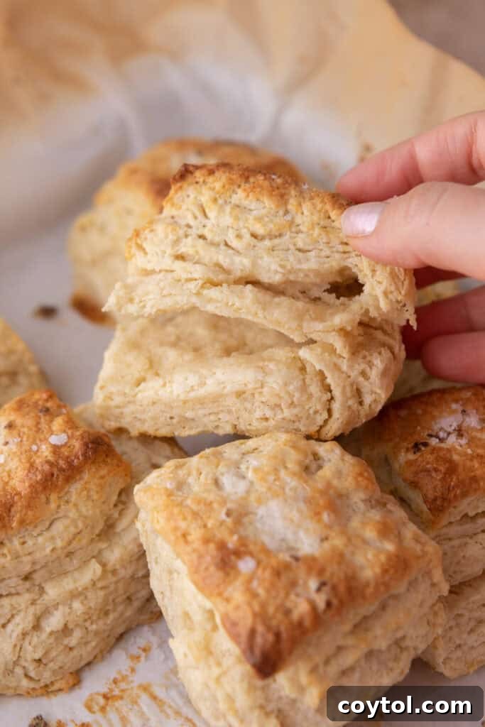 Sourdough Discard Biscuits recipe being opened up