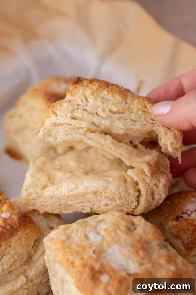 Sourdough Discard Biscuits recipe being opened up