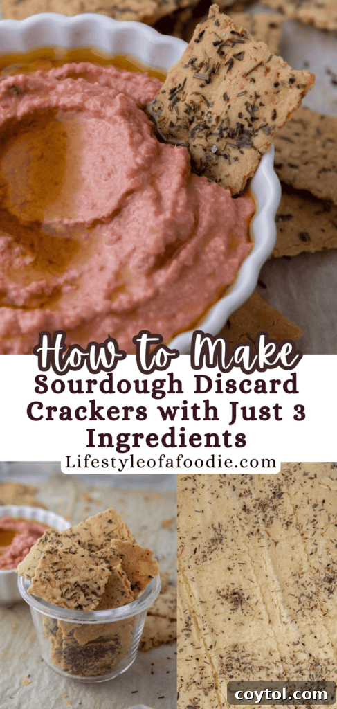 How to Make the Best Sourdough Discard Crackers with Just 3 Ingredients - Pinterest Pin
