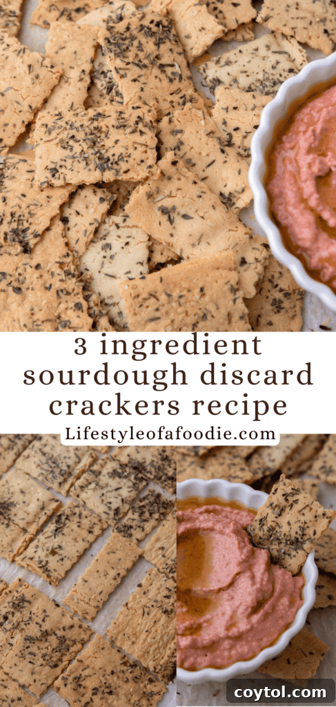 Crispy and Delicious 3-Ingredient Sourdough Discard Crackers - Pinterest Pin