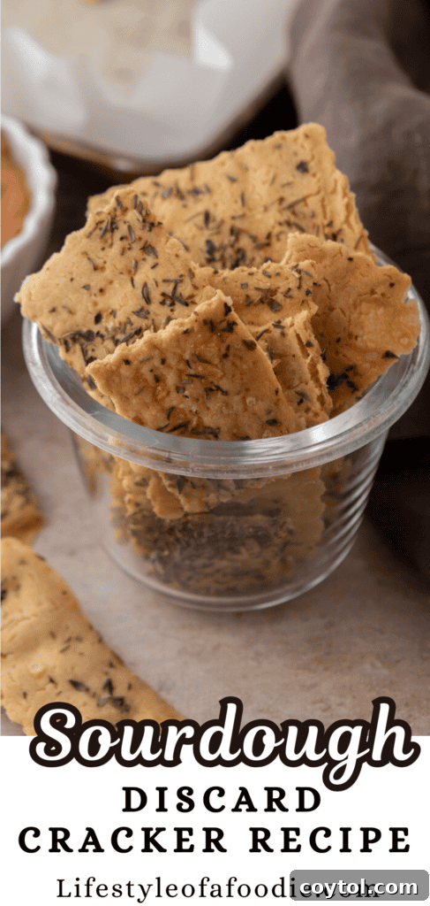 The Ultimate Guide to 3-Ingredient Sourdough Discard Crackers - Pinterest Pin