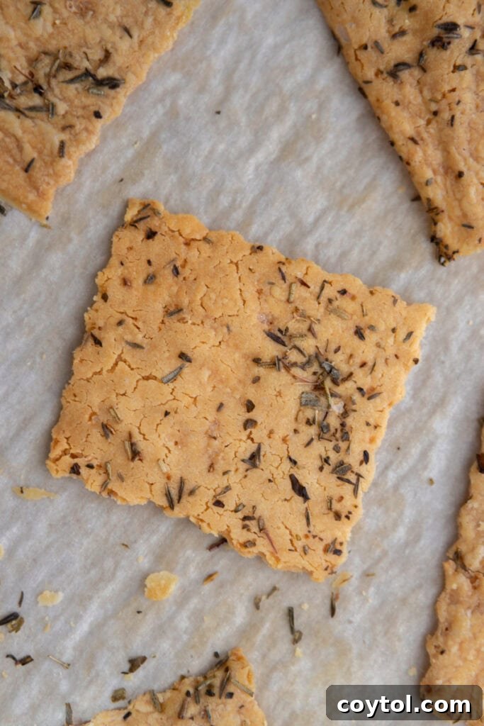 Overhead view of crispy sourdough discard crackers on a baking sheet, ready to be enjoyed.