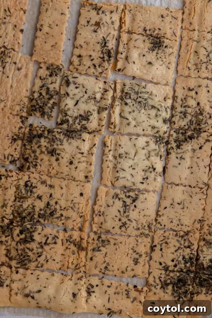 Fully baked and golden-brown sourdough discard cracker sheet, broken into pieces