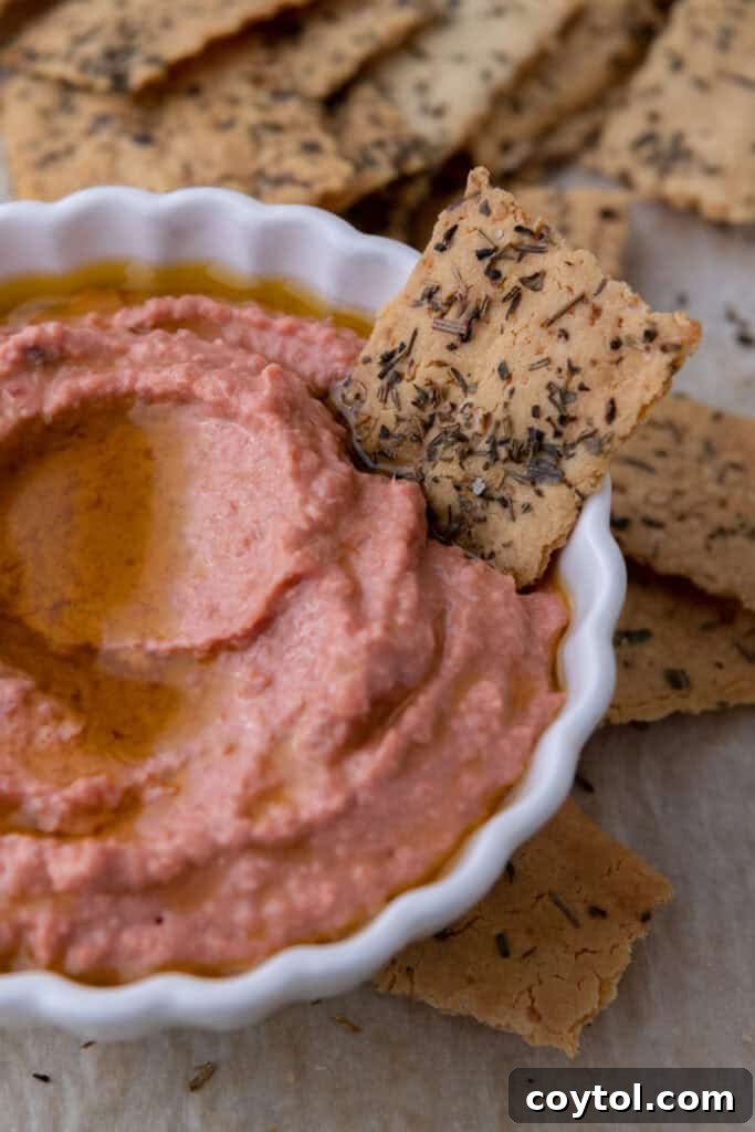 Homemade sourdough discard crackers served with a bowl of creamy hummus, a perfect snack combination.
