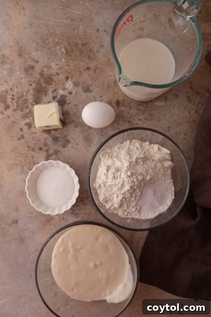 Close-up shot of the fresh ingredients for Sourdough discard Pancakes laid out on a kitchen counter.