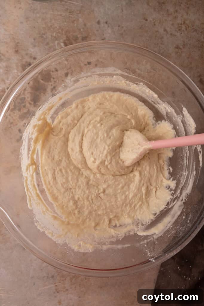 Wet and dry ingredients for sourdough discard pancakes mixed until just combined, showing a slightly lumpy batter.