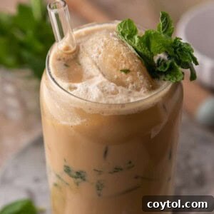 Philz Mint Mojito Iced Coffee close up