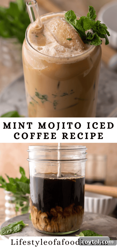 Mint Mojito Iced Coffee Recipe