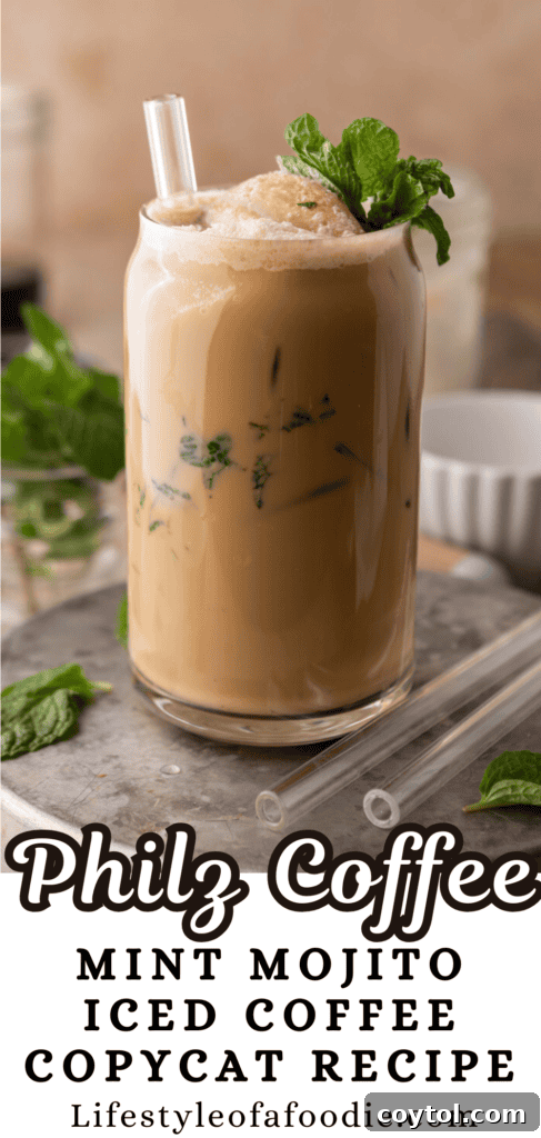 Mint Mojito Iced Coffee Recipe