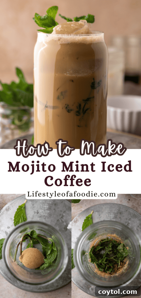 Mint Mojito Iced Coffee Recipe