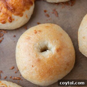 overhead shot of the sourdough bagels recipe