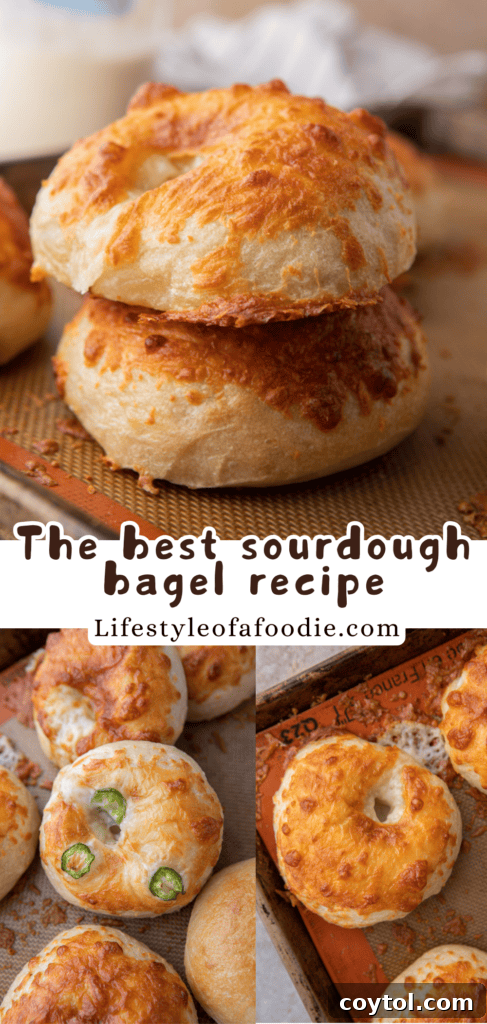 sourdough bagels recipe pinterest pin