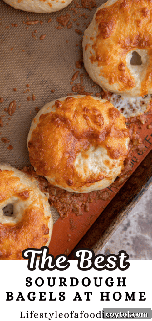sourdough bagels recipe pinterest pin