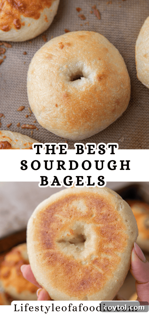 sourdough bagels recipe pinterest pin