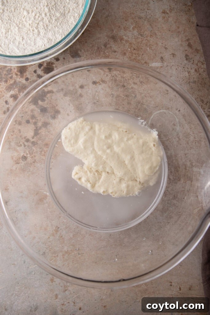 starter in a bowl