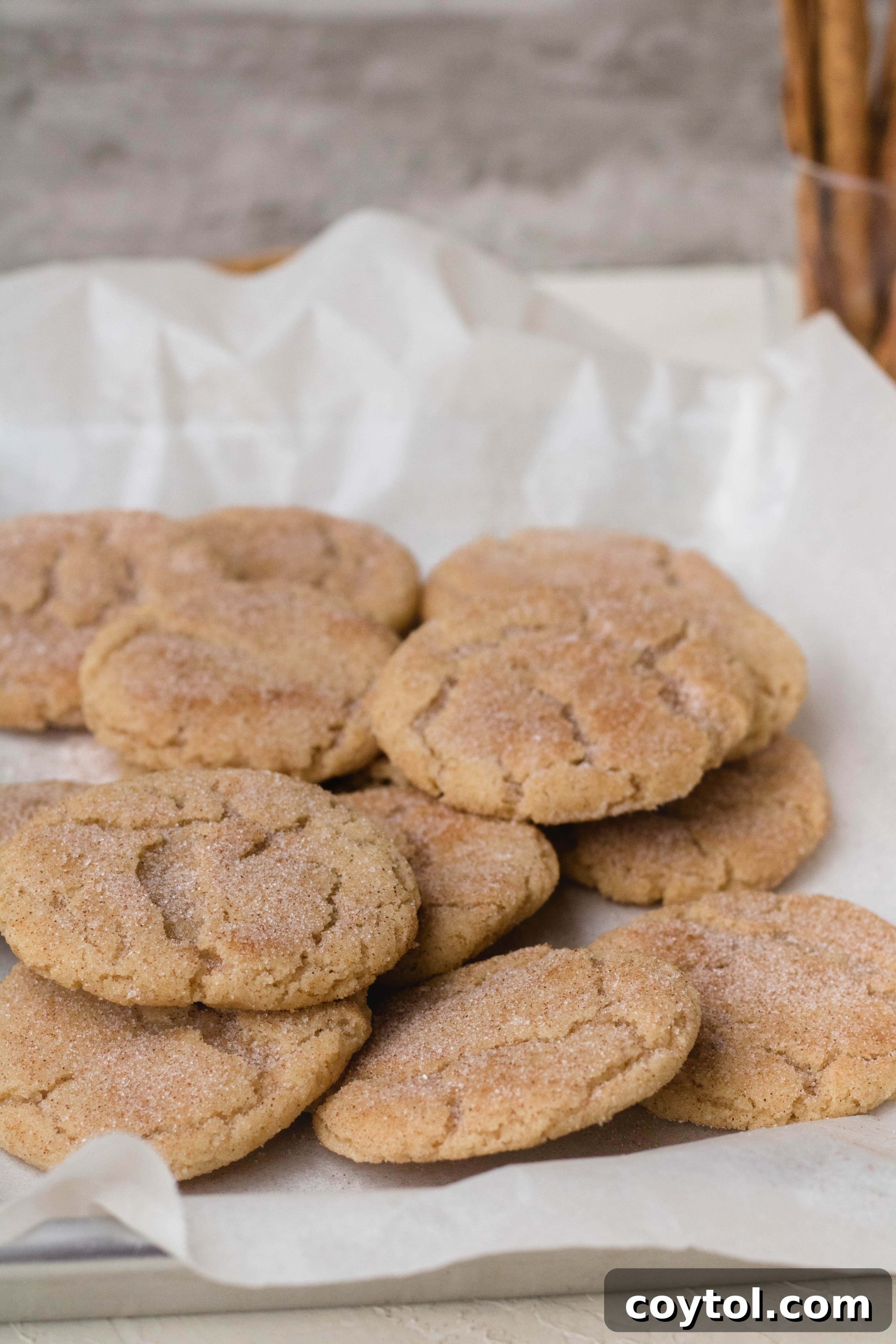 Freshly baked snickerdoodle cookies cooling on a wire rack