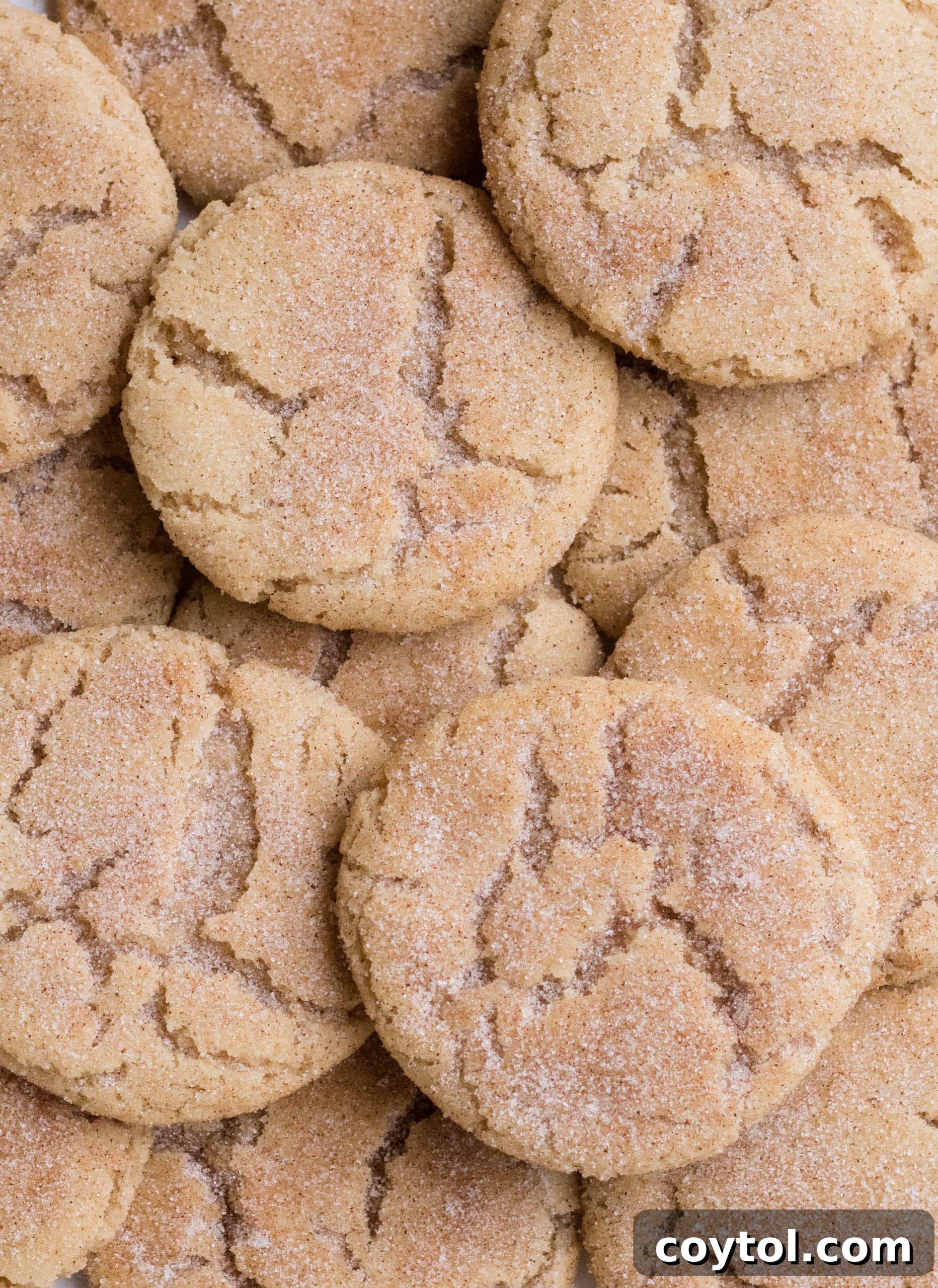 A plate of delicious best snickerdoodle cookies