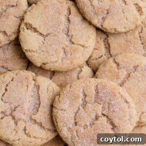 best snickerdoodle cookie