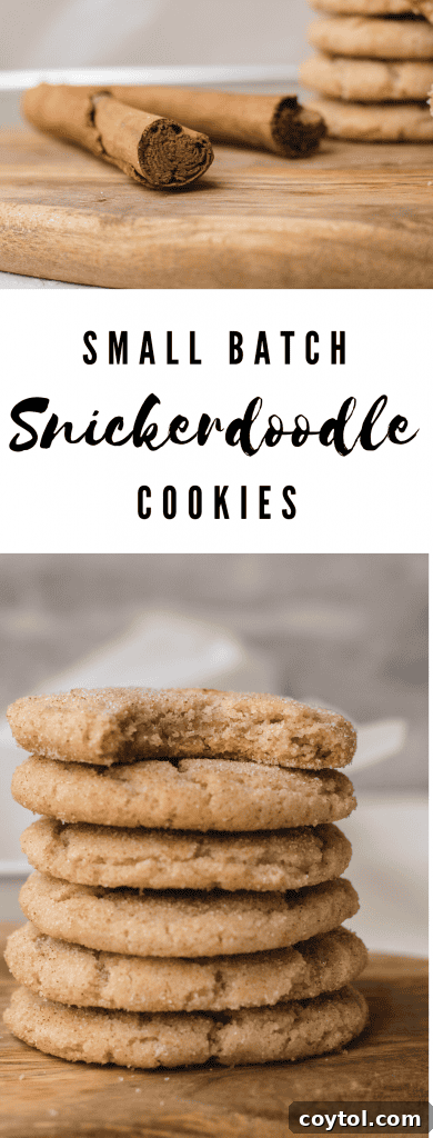 Pinterest pin showing small batch snickerdoodle cookies, an ideal image for saving the recipe.