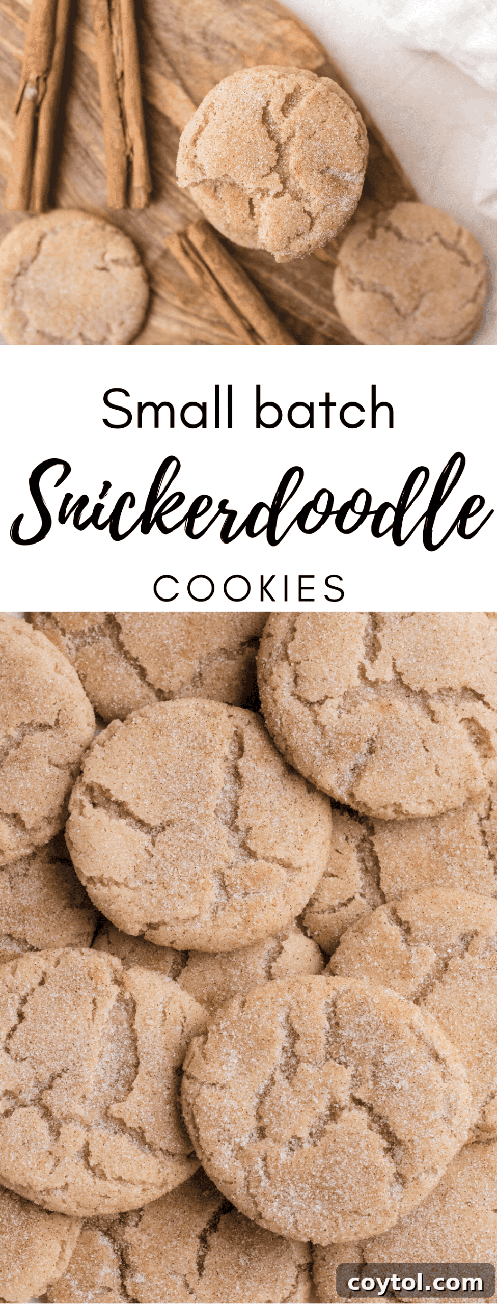 Vertical Pinterest pin featuring small batch snickerdoodle cookies, perfect for pinning.