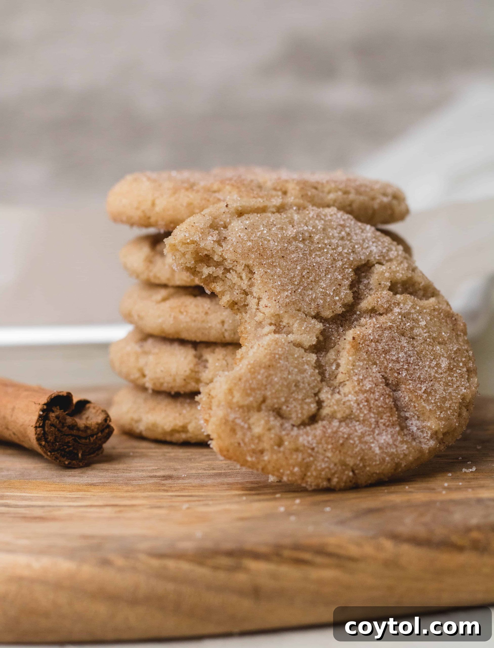 Close-up of baked cinnamon cookies recipe, showing soft centers