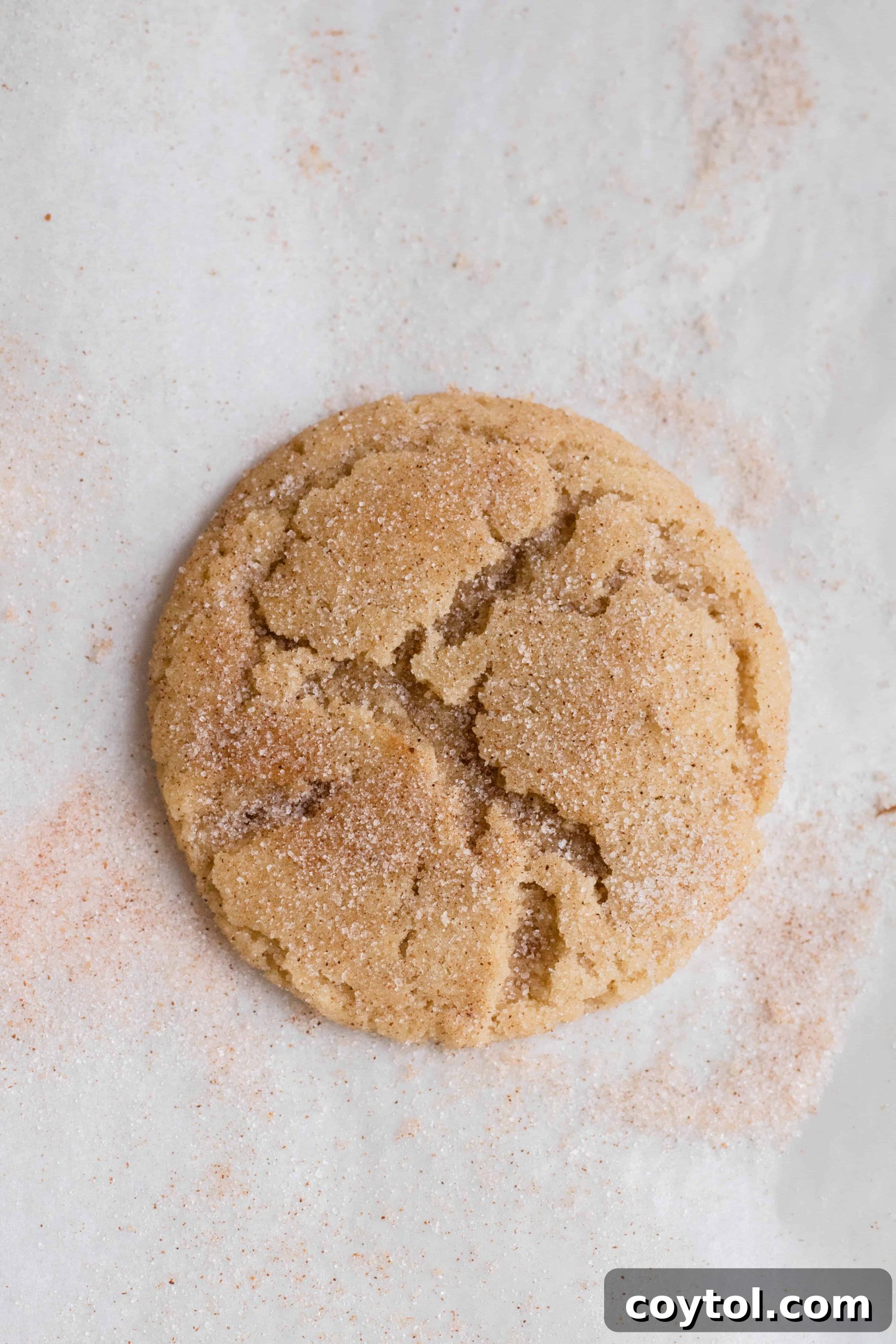 Ingredients for small batch cinnamon cookies recipe laid out on a table