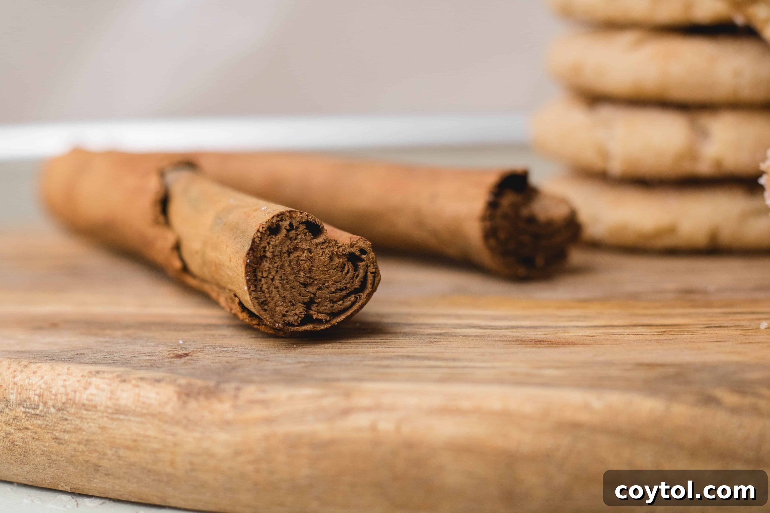 Rolled small batch snickerdoodle cookies coated in cinnamon sugar, ready for baking