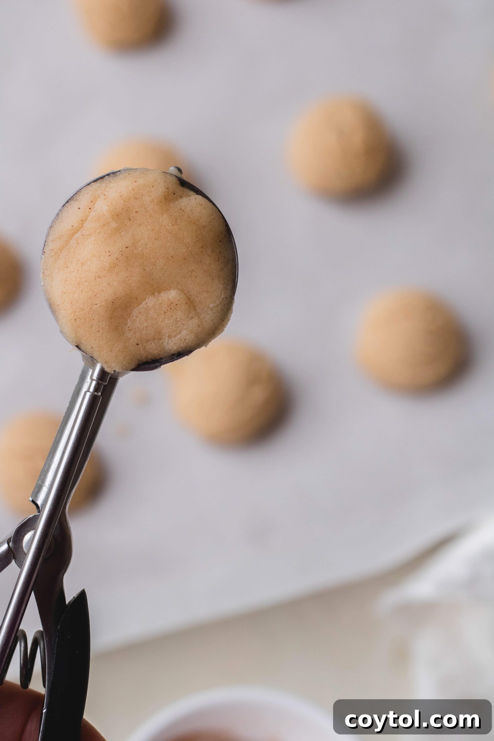 Mixing dry ingredients in a bowl for snickerdoodle cookie dough
