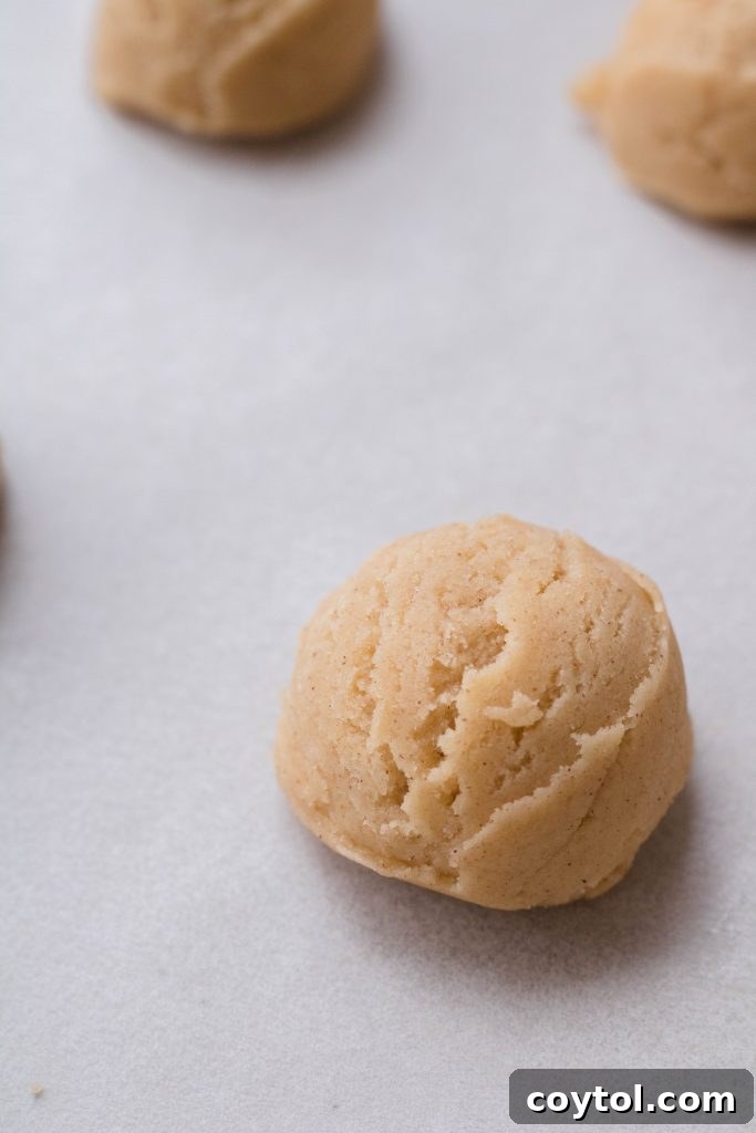 Close-up of freshly mixed snickerdoodle cookie dough