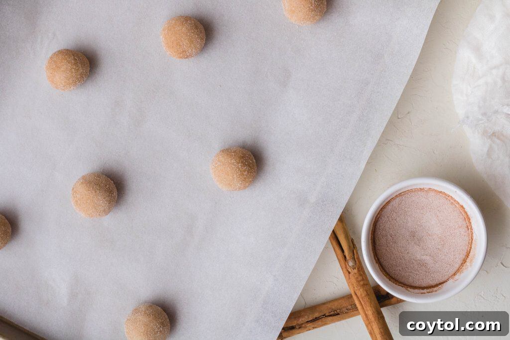 Close-up of freshly baked snickerdoodle cookies on a baking sheet