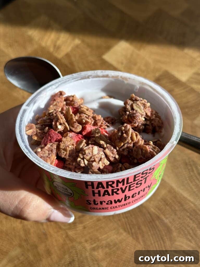 A hand holding a cup of dairy-free yogurt topped with crunchy granola, a perfect example of a healthy and convenient snack.