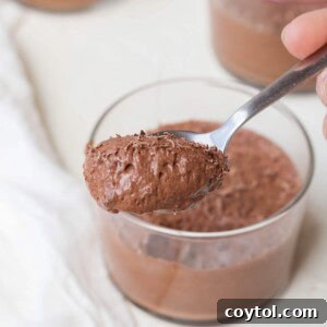 vegan chocolate mousse with aquafaba