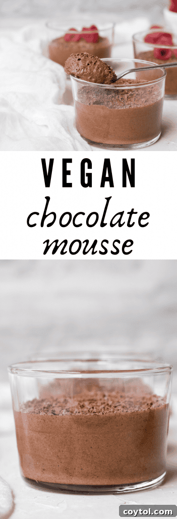 Another beautiful pin for vegan chocolate mousse with aquafaba, highlighting its rich texture and delicious appeal.