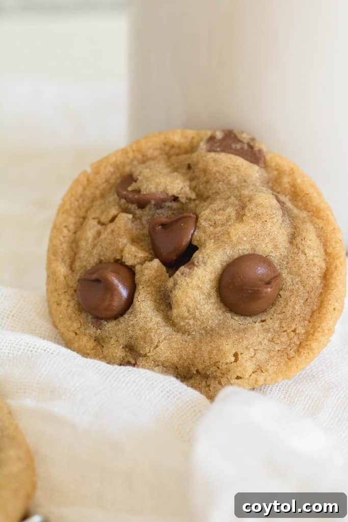 A plate of two small-batch chocolate chip cookies with a slightly gooey center, dusted with powdered sugar, and a glass of milk.