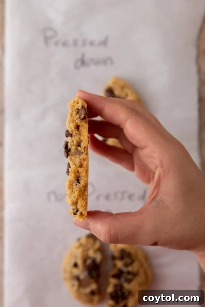 Top view of a pressed baked cookie