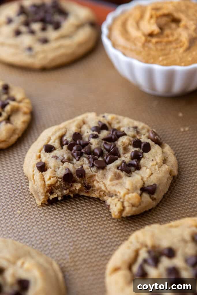 A single, perfectly baked Peanut Butter Chocolate Chip Cookie held in hand
