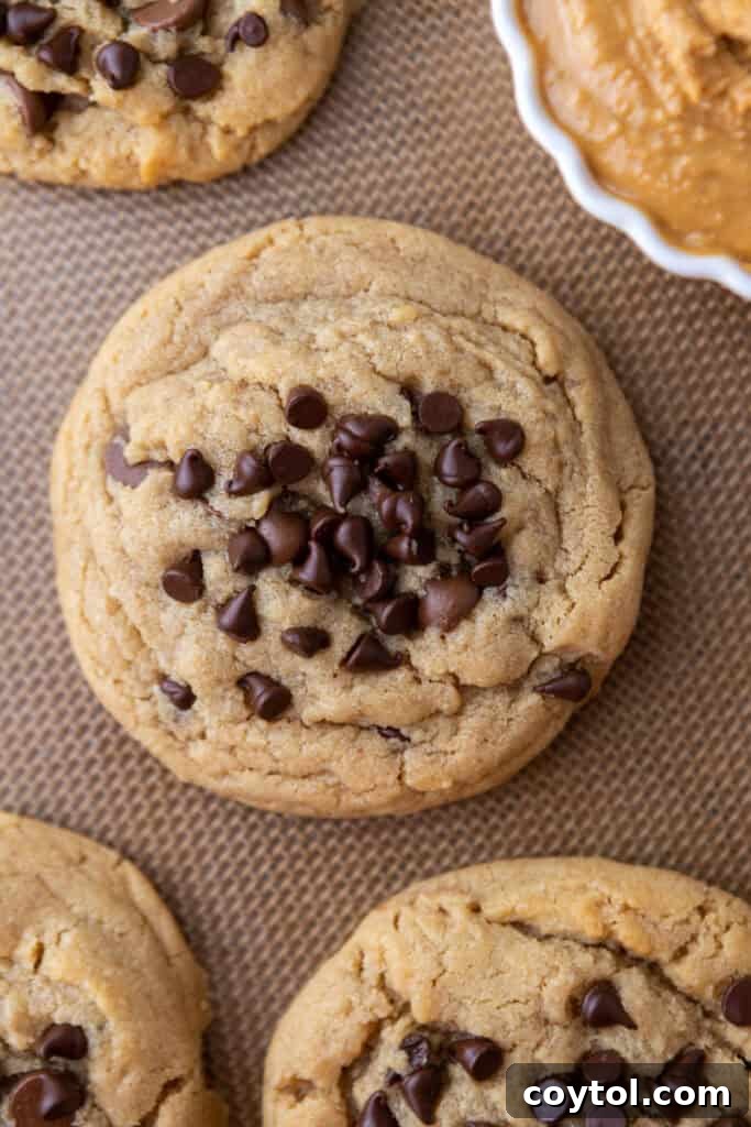 Overhead view of a Peanut Butter Chocolate Chip Cookie with visible chips