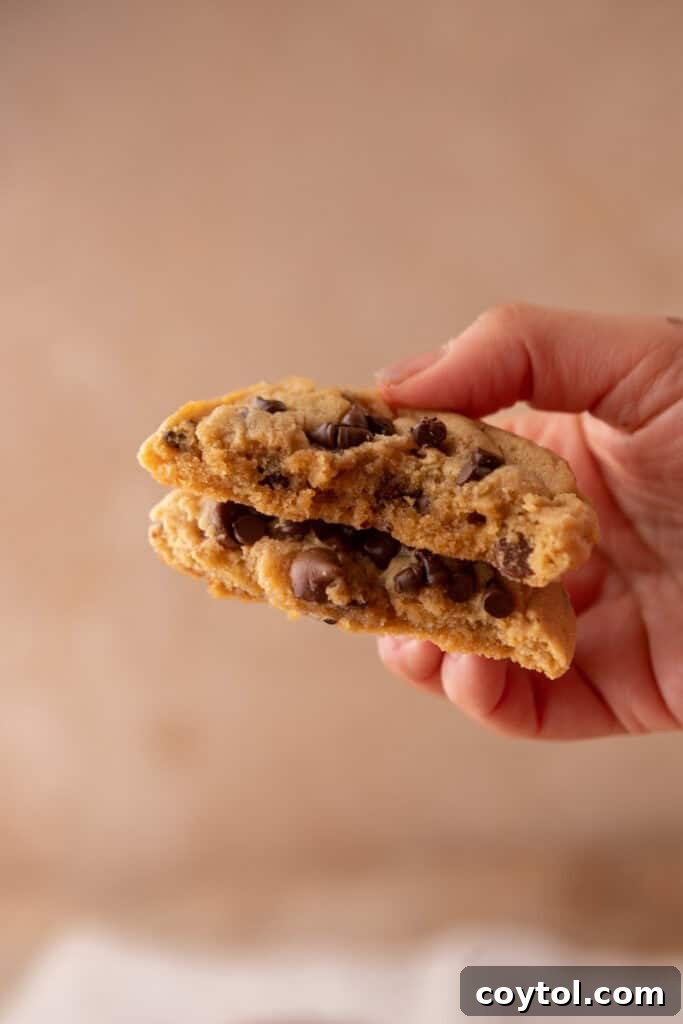 Peanut Butter Chocolate Chip Cookie being held up for a close-up