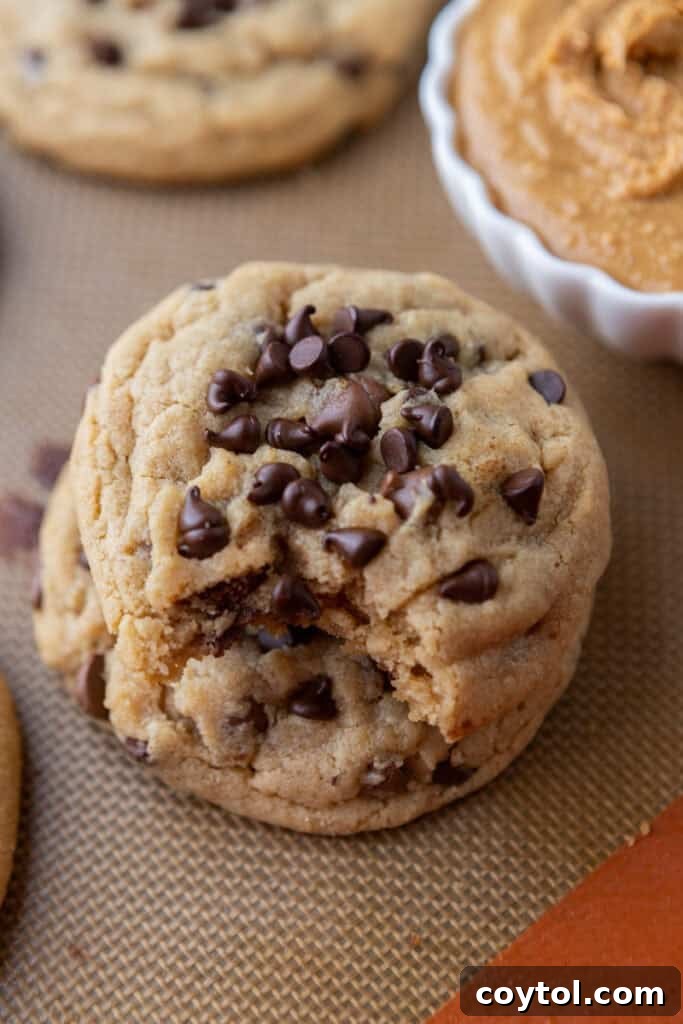 Overhead shot of a delicious Peanut Butter Chocolate Chip Cookie