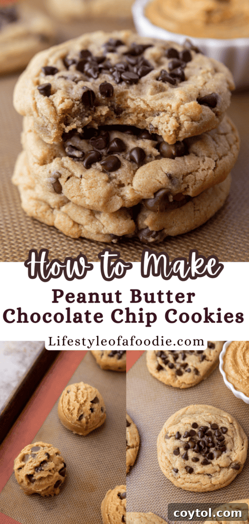 Peanut Butter Chocolate Chip Cookies Pinterest pin image