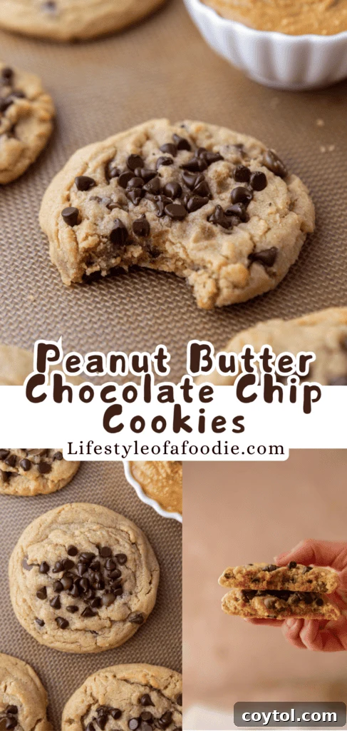 Delicious Peanut Butter Chocolate Chip Cookies for Pinterest