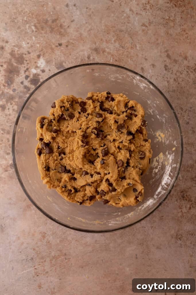 Mixed cookie dough with chocolate chips in a bowl