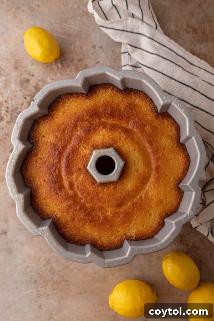 Zesty & Moist Lemon Bundt Perfection 12 Warm lemon syrup being brushed over a freshly baked bundt cake