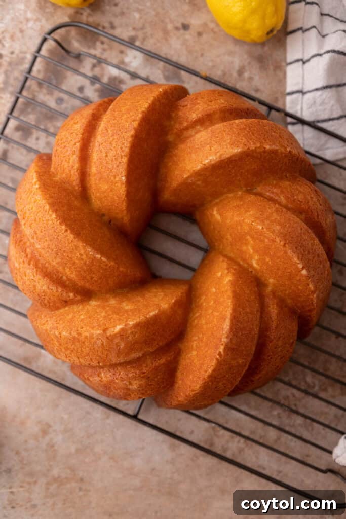 A collection of homemade cake release images including jar, application, and final product