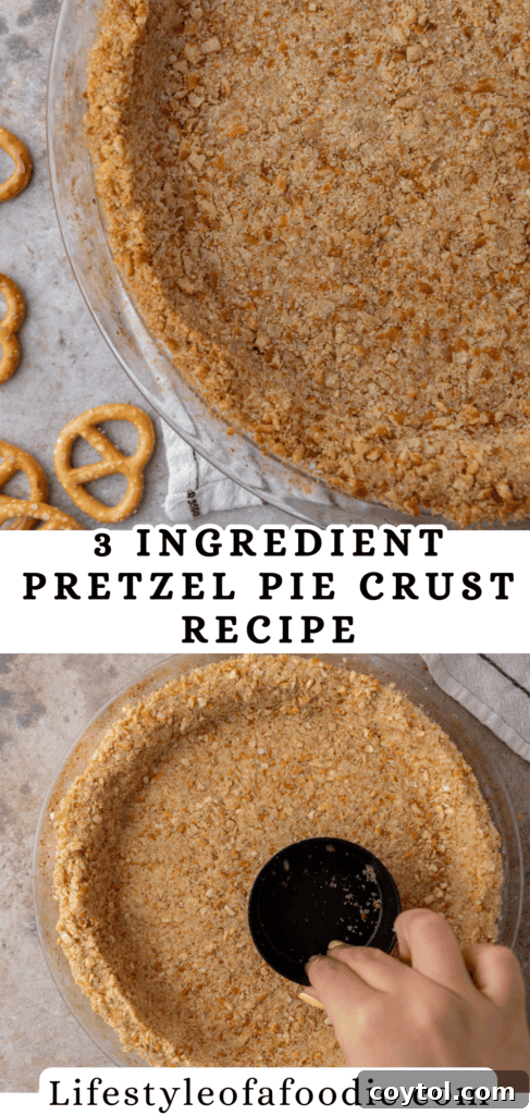 The Ultimate Salty Sweet Pretzel Pie Crust 15 Pretzel Pie Crust pin image, highlighting its golden texture.